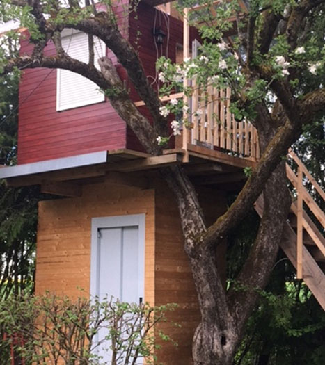 Aufzug im Baumhaus gefällig? Aufzug im Baumhaus gefällig?
